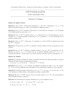 Optimización - Universidad de Buenos Aires