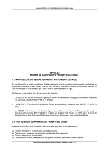 capítulo 8 medidas de mantenimiento y fomento del empleo