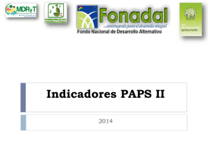 Indicadores PAPS II