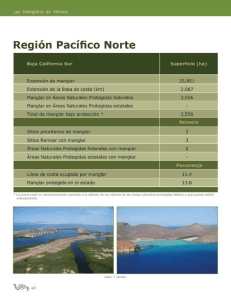 Región Pacíﬁco Norte