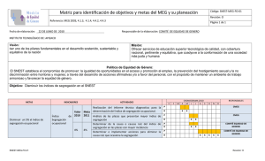 Matriz para identificación de objetivos y metas del MEG y su