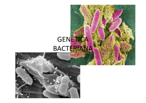 genetica bacteriana [Modo de compatibilidad]