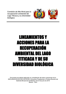 LINEAMIENTOS Y ACCIONES PARA LA RECUPERACIÓN