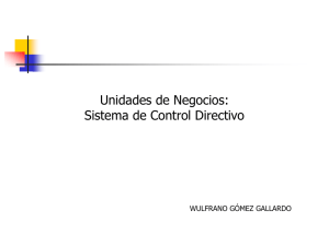 Unidades de Negocio. Sistema de Control Directivo