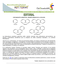 CONTAMINANTES AROMÁTICOS, GRANDES ENEMIGOS DE LA