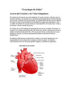 “Tretralogia De Fallot” Acerca del Corazón y los Vasos Sanguíneos