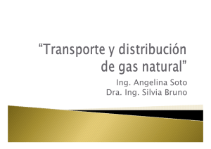 SDHC_10_Bruno y Soto_Transporte y distribución de gas