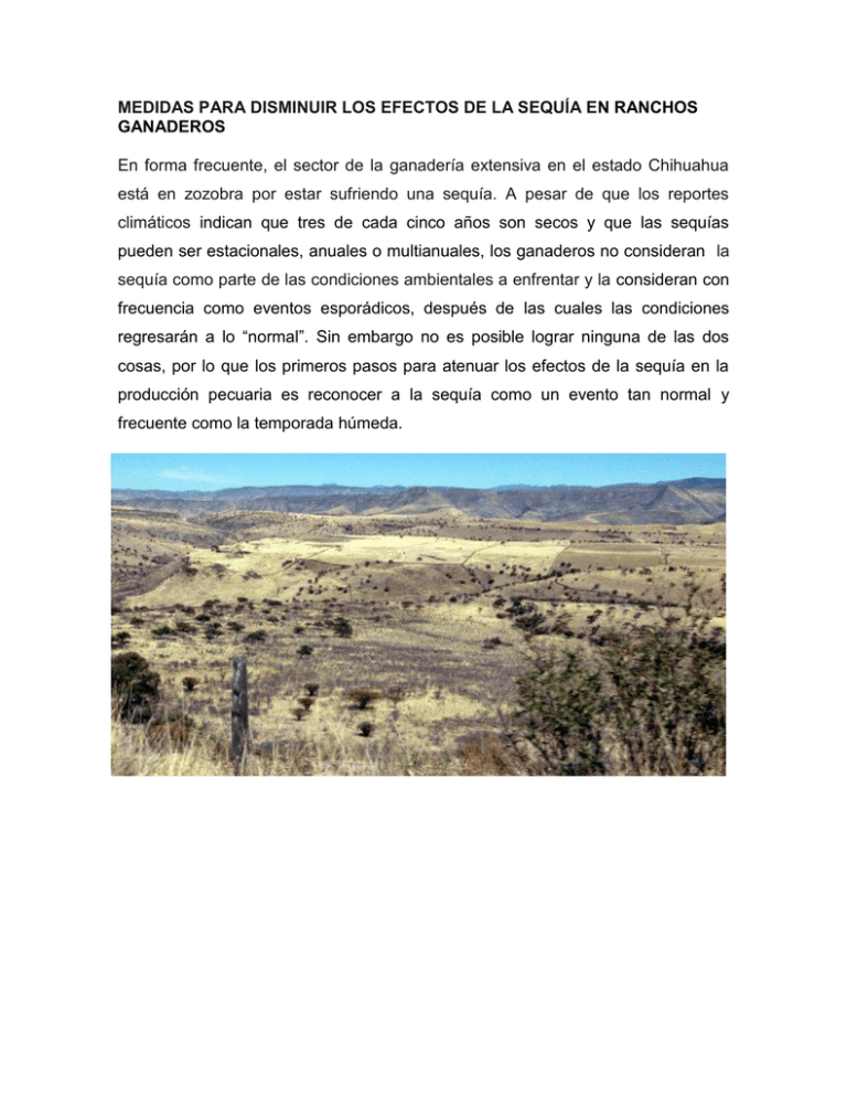 MEDIDAS PARA DISMINUIR LOS EFECTOS DE LA SEQUÍA EN