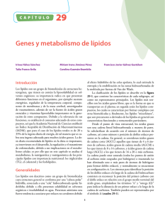 Genes y metabolismo de lípidos