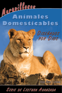 Maravillosos Animales Domesticables