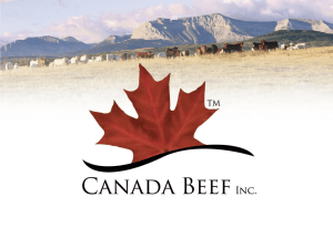 Clasificación de carne de res canadiense