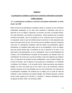 Capitulo 5 La participación ciudadana a partir de las comisiones