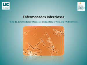 Enfermedades Infecciosas. Tema 11. Enfermedades Infecciosas