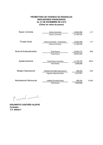 Indicadores Financieros Diciembre 2014