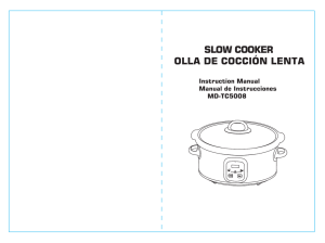slow cooker olla de cocción lenta