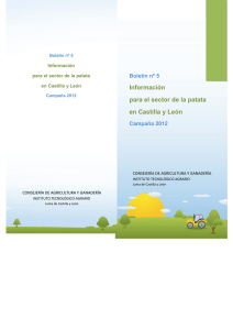 Información para el sector de la patata en Castilla y León
