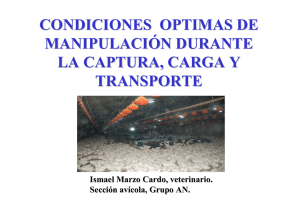 CONDICIONES OPTIMAS DE CAPTURA CARGA Y TRANSPORTE