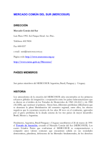 mercado común del sur (mercosur)