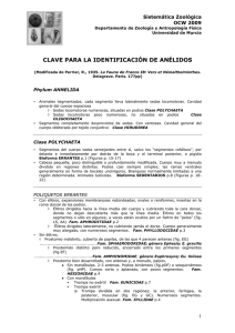 Claves Anélidos - OCW - Universidad de Murcia