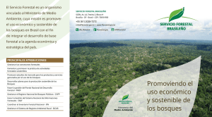 Promoviendo el uso económico y sostenible de los bosques