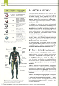 sistema inmunologico