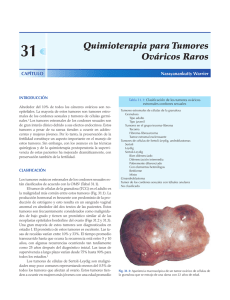 Quimioterapia para Tumores Ováricos Raros 31