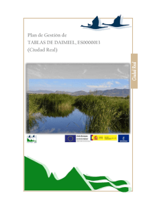 Plan de Gestión Tablas de Daimiel. Doc 3 - Gobierno de Castilla