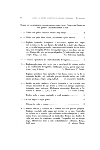 Tibias con pelos finos cortos, adyacentes o poco