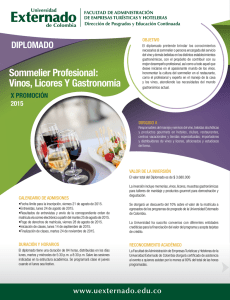 Sommelier Profesional: Vinos, Licores Y Gastronomía