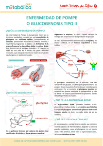 ENFERMEDAD DE POMPE O GLUCOGENOSIS TIPO II