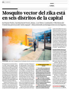 Mosquito vector del zika está en seis distritos de la capital