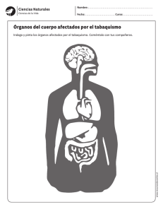 Órganos del cuerpo afectados por el tabaquismo