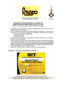 Requisitos para obtener el NIT-RAU (nuevo)