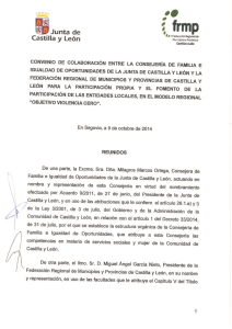 federación regional de municipios y provincias de castilla y