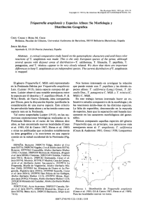 T riquetrella arapilensis y Especies Aﬁnes: Su Morfología y