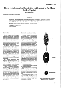 Líneas evolutivas de los Alveolínidos cretácicos de la Cordillera