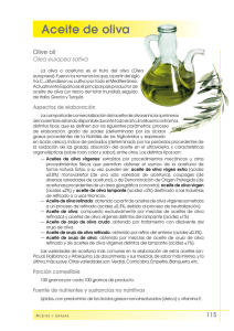 Aceite de oliva - FEN. Fundación Española de la Nutrición