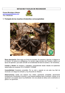 PDF para imprimir - Parque Micológico Ultzama