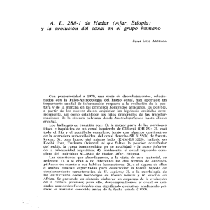 A. L. 288-1 de Hadar (Ajar, Etiopía) y la evolución del coxal en el