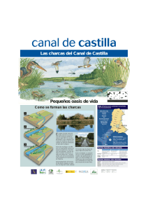 Las charcas del Canal de Castilla Pequeños oasis de vida