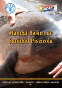 MANUAL BÁSICO DE SANIDAD PISCICOLA