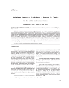 Variaciones Anatómicas Radiculares y Sistemas de Canales