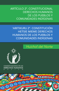 méxico, 2012 artículo 2º. constitucional derechos humanos de los
