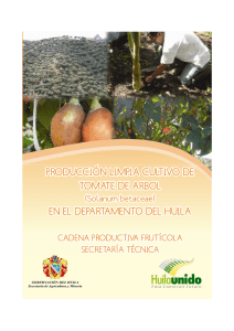 manual tecnico cultivo de tomate de arbol en el Huila