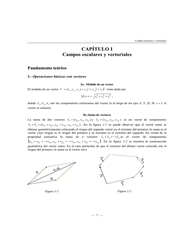 CAPÍTULO I Campos Escalares Y Vectoriales