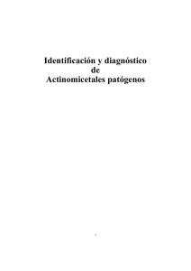 Identificación y diagnóstico de Actinomicetales