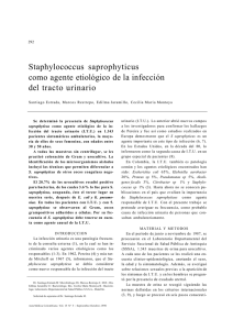 Staphylococcus saprophyticus como agente etiológico de la
