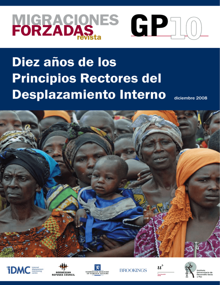 Diez Años De Los Principios Rectores Del Desplazamiento Interno