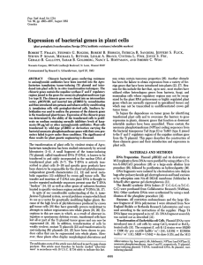 Expression of bacterial genes in plant cells