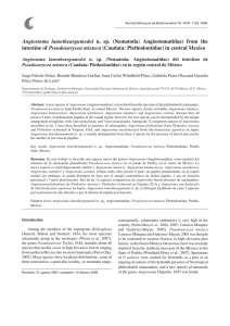 Angiostoma lamotheargumedoi n. sp - E-journal